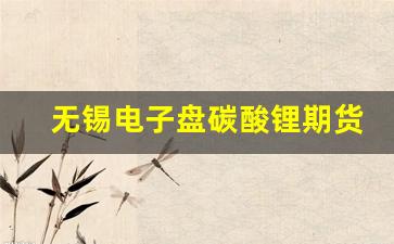 无锡电子盘碳酸锂期货 如何交易(碳酸锂交易平台)_https://www.shshucaipeisong.com_北交所_第1张